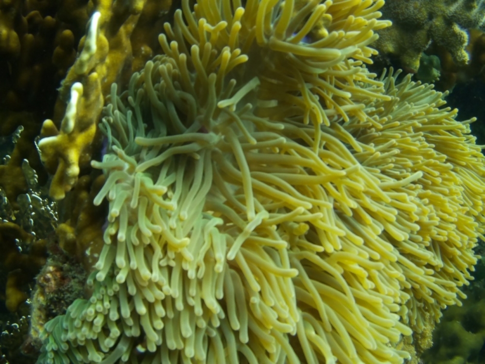 153e7d09-ccf8-3f67-6cd0-5c8b567d28a9.jpg