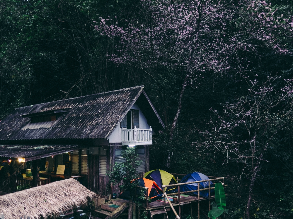1ee6d550-0e82-c3cc-8a88-5a6b5ee68271.jpg