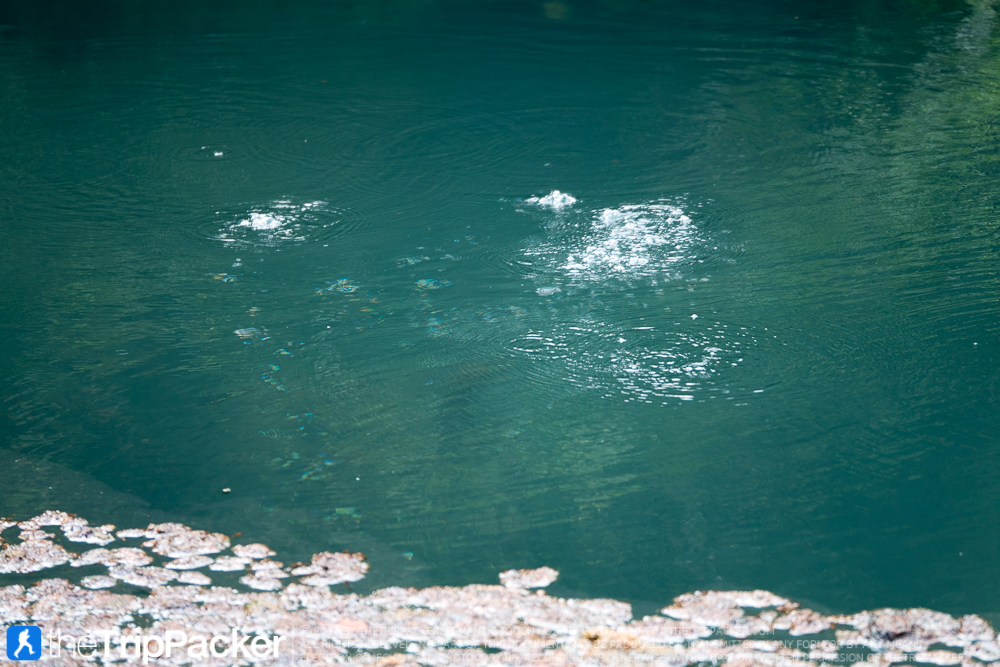 1fcf33e5-36bc-1646-17db-581c6ed0bc65.jpg