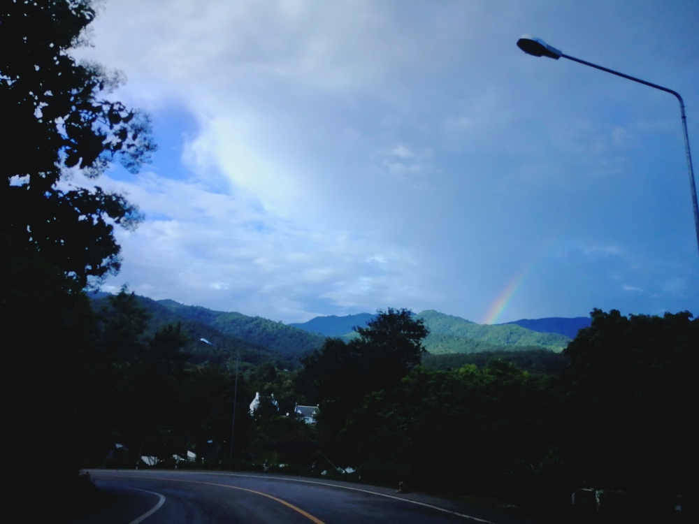36b933dc-978c-a126-d6ed-5c25c2a10f81.jpg