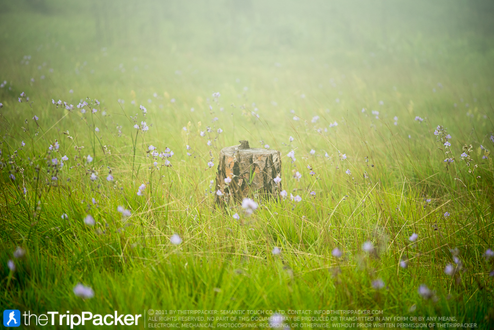 54f84063-c08a-f6f5-cc46-57d8eda88fe0.jpg