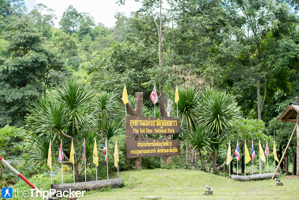 5a2fcaac-b199-a3c5-e82d-57d8cc079c4a.jpg