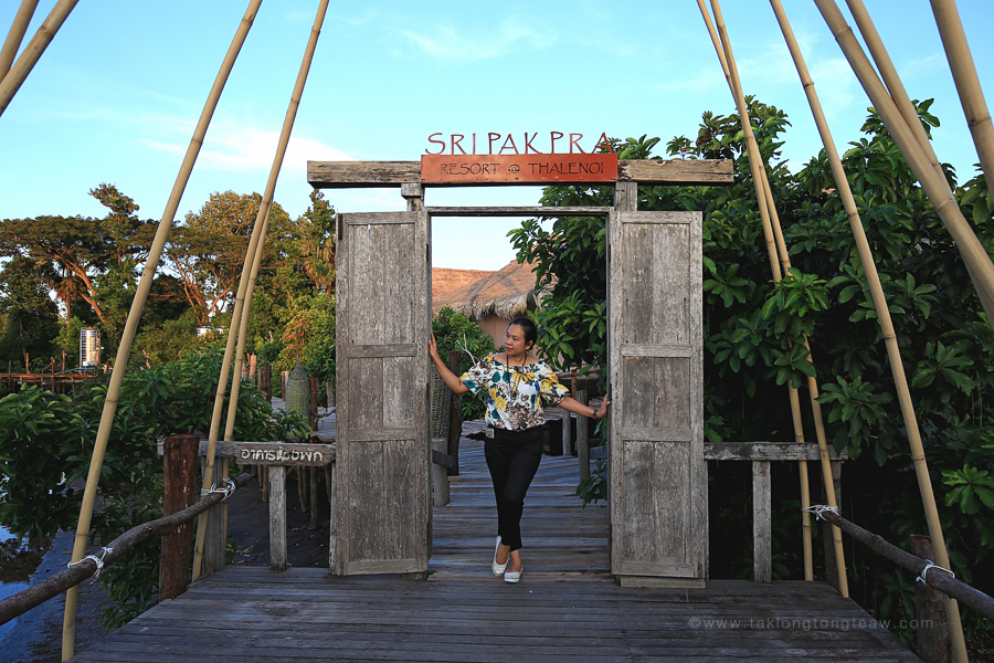 6358a072-0ebe-cdb3-d771-58ef30ef5260.jpg