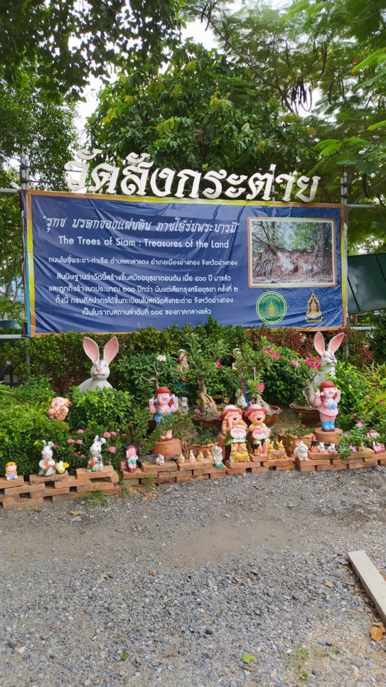 6cfe9246-f93c-f358-30be-5f3f988d1309.jpg