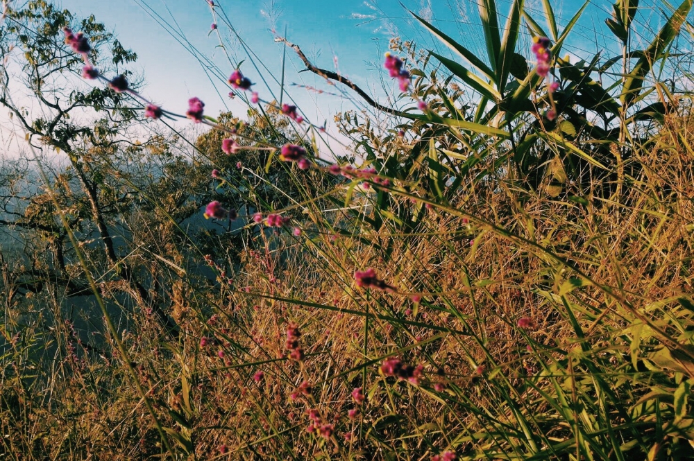 6f017d1f-ef3f-dbd4-cd93-5a09e9806e2e.jpg