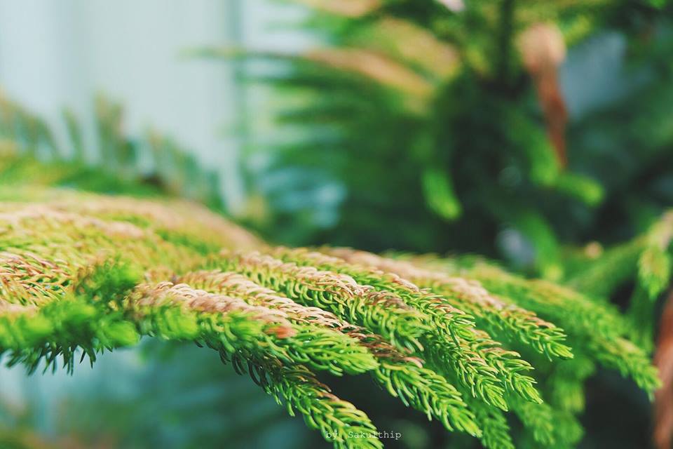 7c610181-a218-2cd7-d2d1-57e3caad42da.jpg