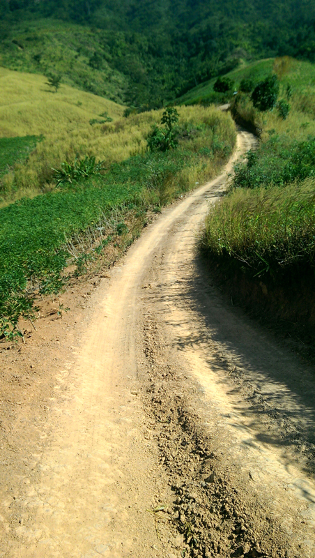 7d25f34e-f1af-af9a-1f3c-58524908da1a.jpg