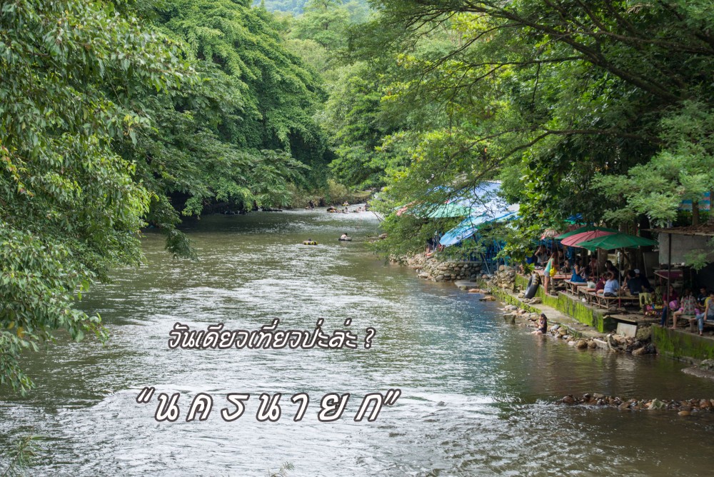 81e92a3d-5c54-c358-abfa-57b74544dd7f.jpg