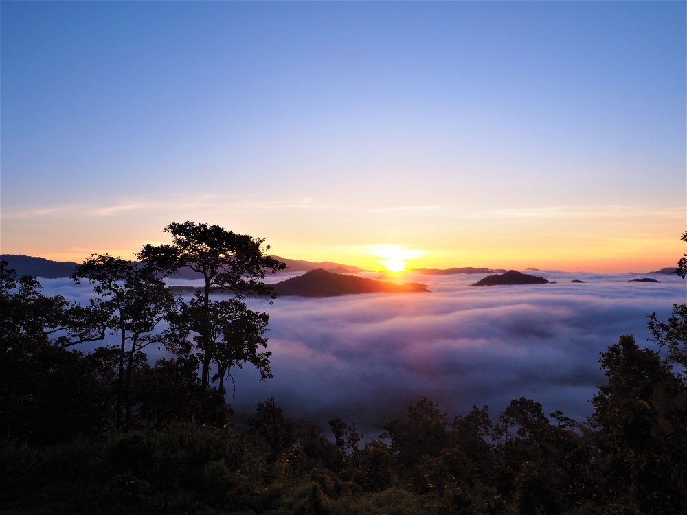 9c5c2cef-ddc4-9742-f635-5c25d18facd6.jpg
