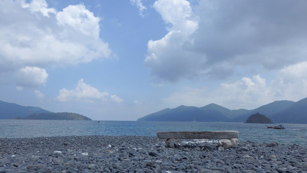 a0ba0b5d-965e-9197-80a7-5c8b554eba83.jpg