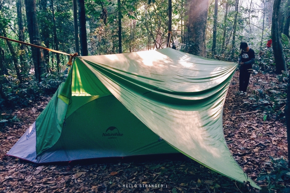 a6fd5608-c0bb-42ec-d5b2-5cca851a2c0f.jpg