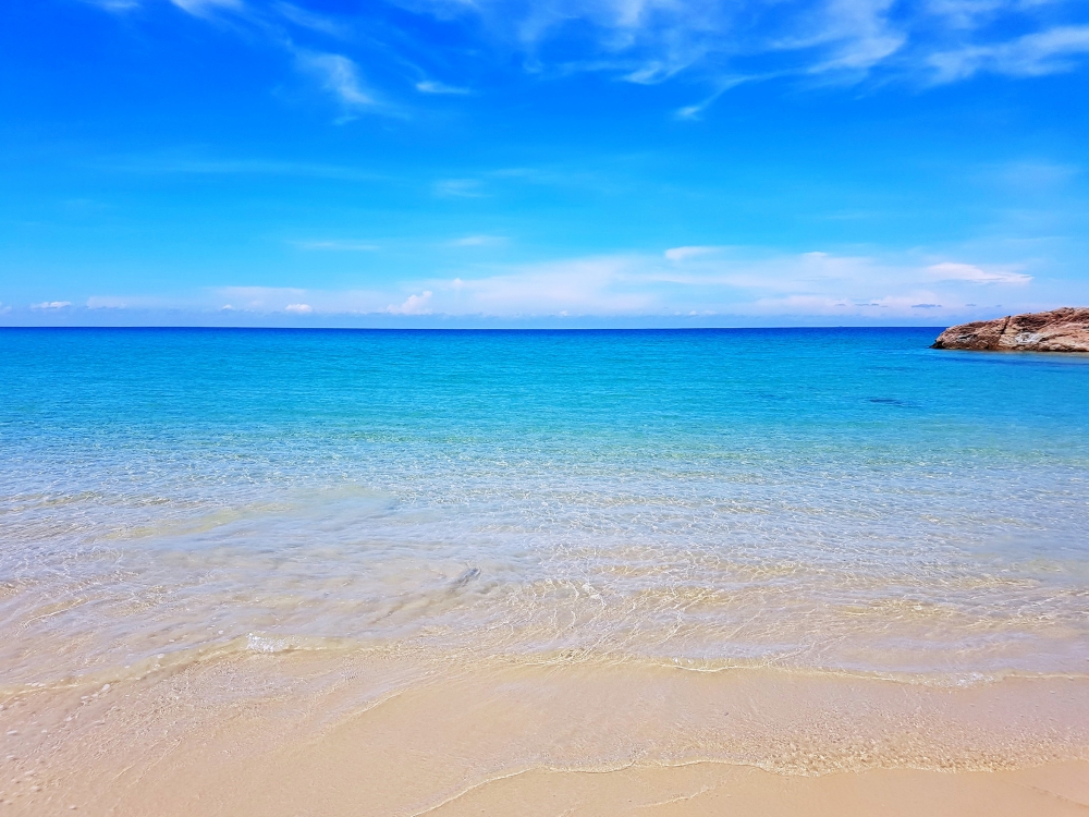ae3b6309-5bc0-79f0-67e1-58eddd5d0d6a.jpg