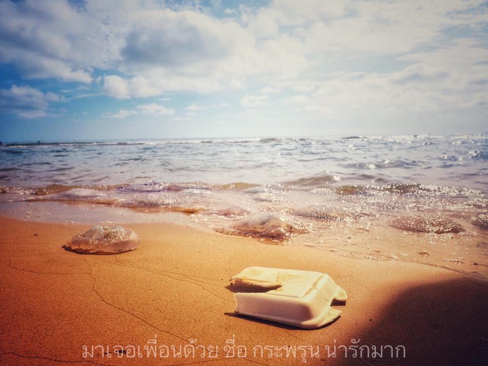 db1fa899-4b13-c52f-4c7c-5a157f91ceb3.jpg