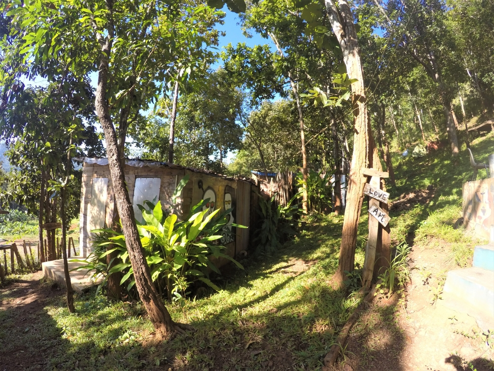 df67635d-1ea2-a568-f90e-5c25c695be4a.jpg