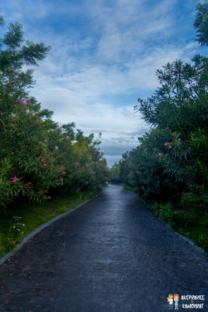 e5e5ef1d-28ba-af96-a6c9-57835a315b36.jpg