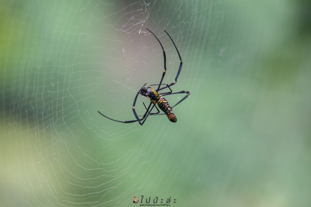 ee5a7eef-575e-314a-afbd-57b746d79a6d.jpg