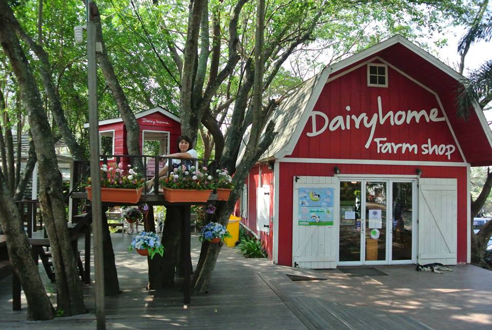 Dairy Home Restaurant (ร้านอาหารแดรี่โฮม) นครราชสีมา