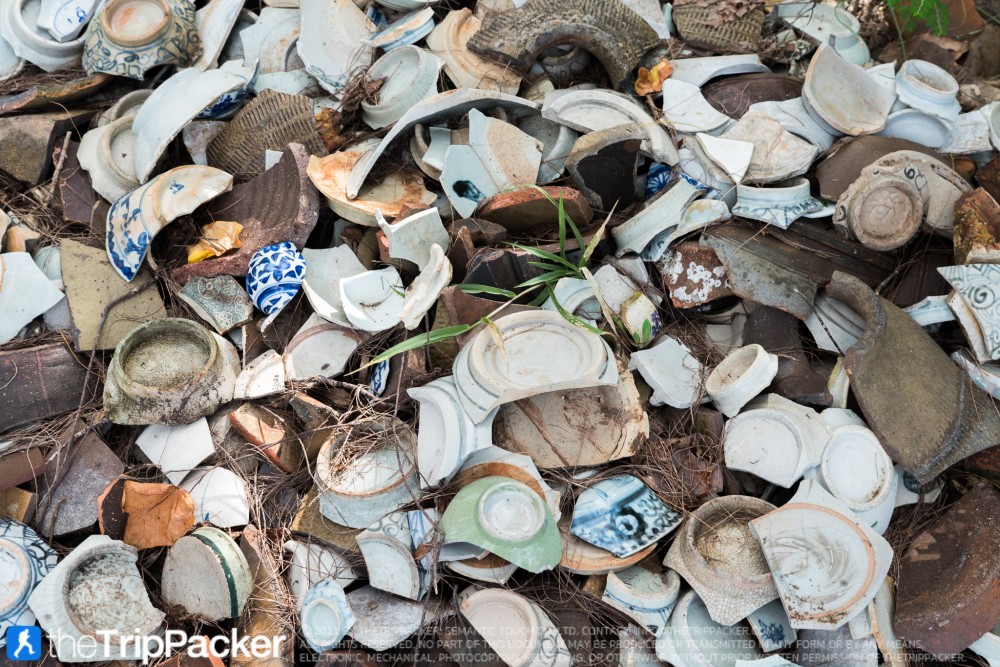 "สันหลังมังกรเหลือง" UNSEEN แห่งใหม่ของท้องทะเลตรัง