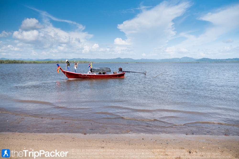 "สันหลังมังกรเหลือง" UNSEEN แห่งใหม่ของท้องทะเลตรัง