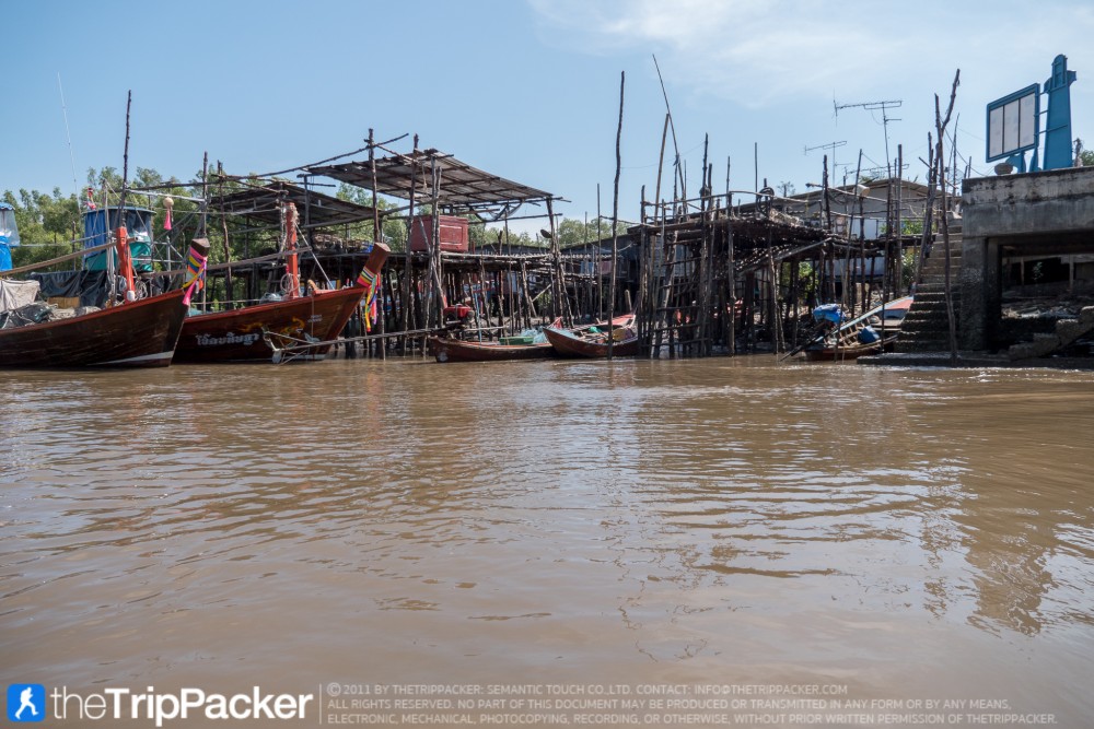 "สันหลังมังกรเหลือง" UNSEEN แห่งใหม่ของท้องทะเลตรัง