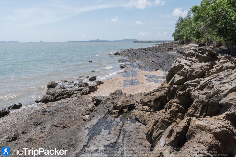 "สันหลังมังกรเหลือง" UNSEEN แห่งใหม่ของท้องทะเลตรัง