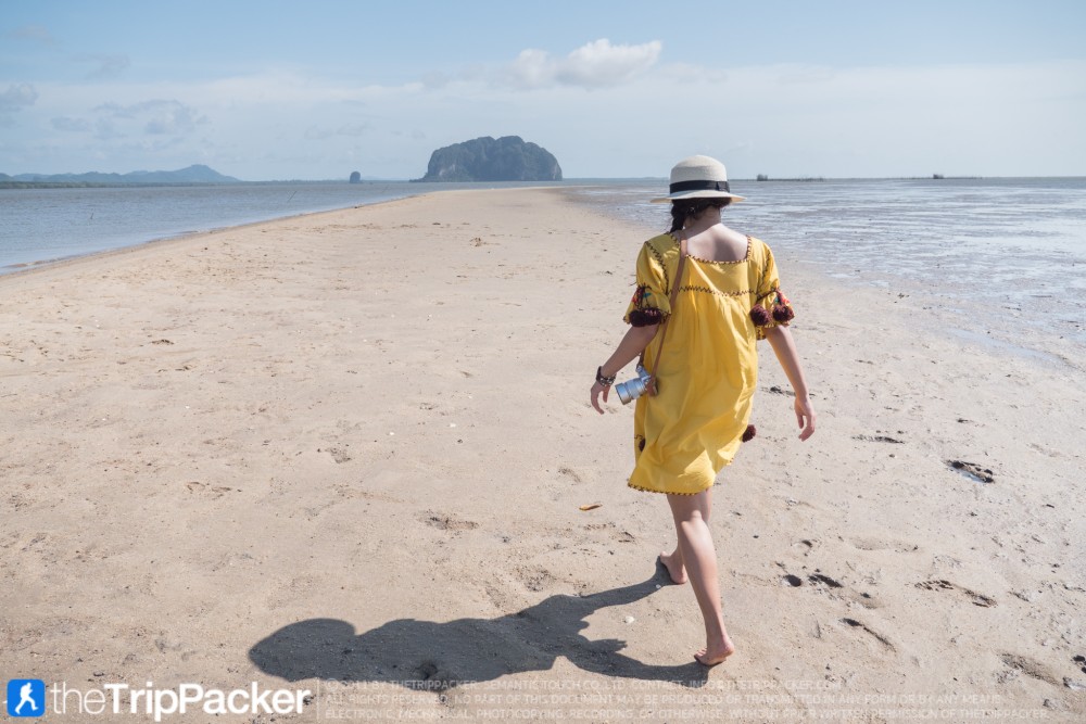 "สันหลังมังกรเหลือง" UNSEEN แห่งใหม่ของท้องทะเลตรัง