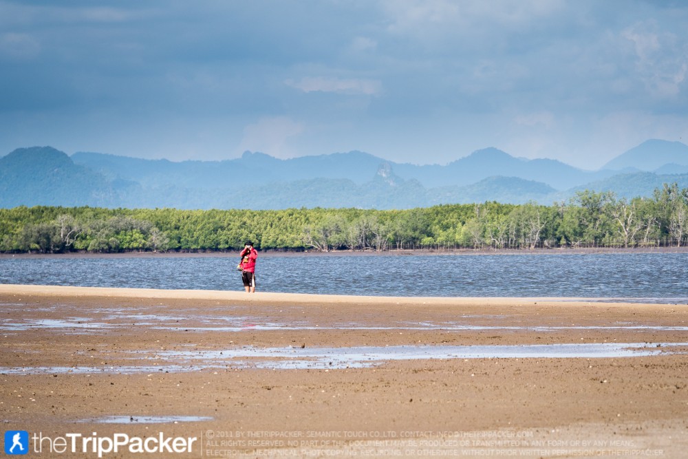 "สันหลังมังกรเหลือง" UNSEEN แห่งใหม่ของท้องทะเลตรัง