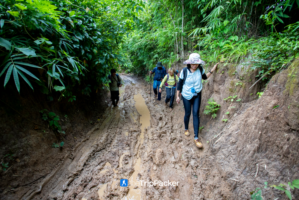 "เปรโต๊ะลอซู" หัวใจกลางผืนป่าอุ้มผาง : ราคาที่ต้องจ่ายด้วยสองเท้า