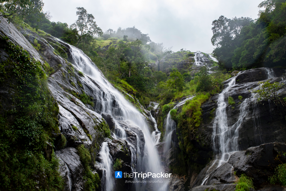 "เปรโต๊ะลอซู" หัวใจกลางผืนป่าอุ้มผาง : ราคาที่ต้องจ่ายด้วยสองเท้า