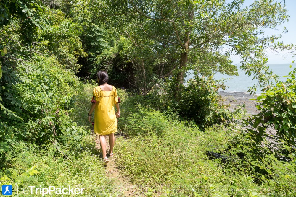 "สันหลังมังกรเหลือง" UNSEEN แห่งใหม่ของท้องทะเลตรัง