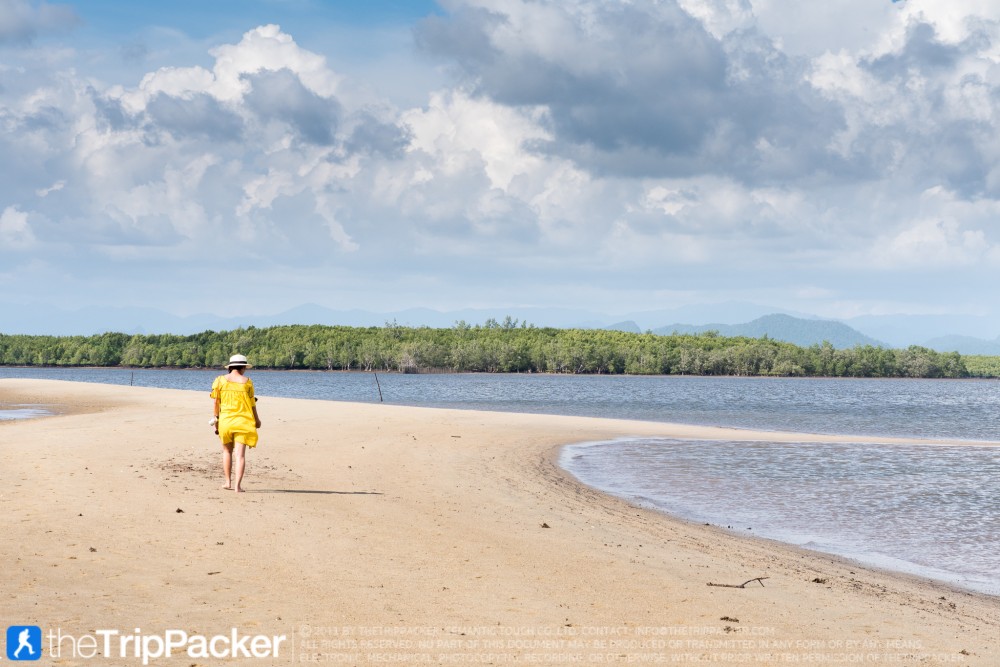 "สันหลังมังกรเหลือง" UNSEEN แห่งใหม่ของท้องทะเลตรัง