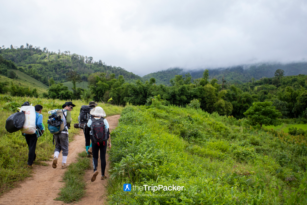 "เปรโต๊ะลอซู" หัวใจกลางผืนป่าอุ้มผาง : ราคาที่ต้องจ่ายด้วยสองเท้า