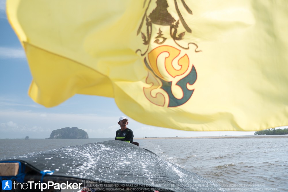 "สันหลังมังกรเหลือง" UNSEEN แห่งใหม่ของท้องทะเลตรัง