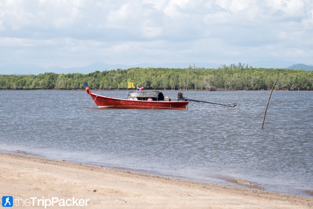 "สันหลังมังกรเหลือง" UNSEEN แห่งใหม่ของท้องทะเลตรัง