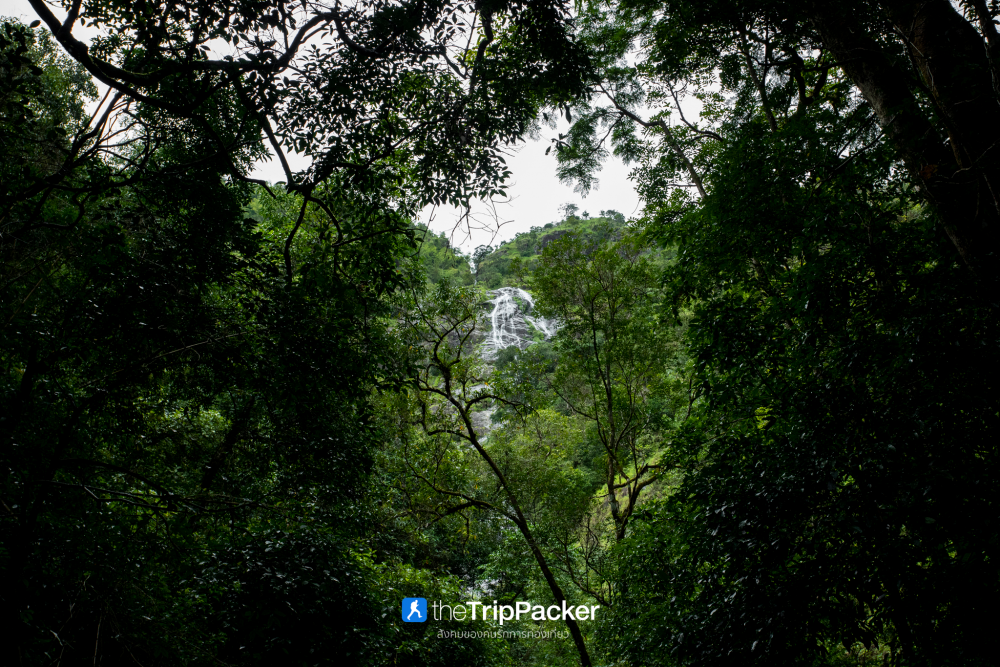 "เปรโต๊ะลอซู" หัวใจกลางผืนป่าอุ้มผาง : ราคาที่ต้องจ่ายด้วยสองเท้า