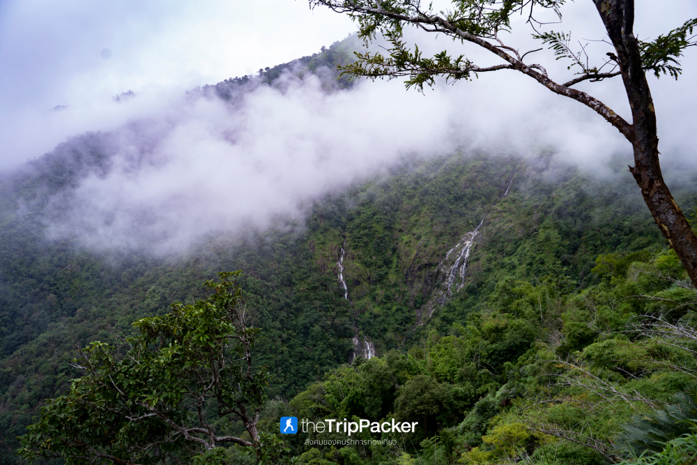 "เปรโต๊ะลอซู" หัวใจกลางผืนป่าอุ้มผาง : ราคาที่ต้องจ่ายด้วยสองเท้า