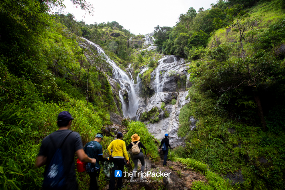 "เปรโต๊ะลอซู" หัวใจกลางผืนป่าอุ้มผาง : ราคาที่ต้องจ่ายด้วยสองเท้า