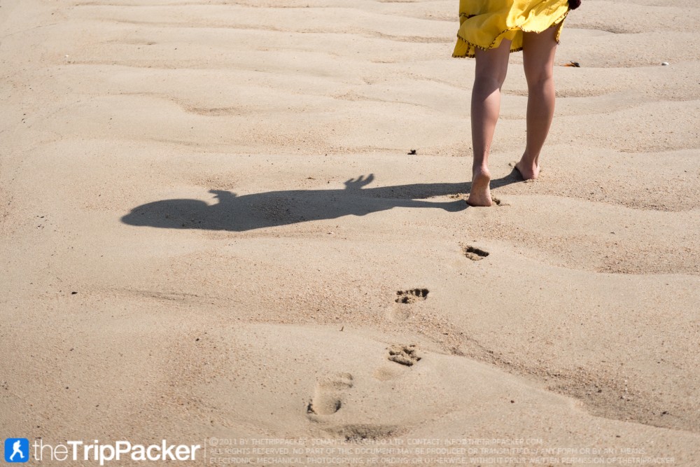 "สันหลังมังกรเหลือง" UNSEEN แห่งใหม่ของท้องทะเลตรัง