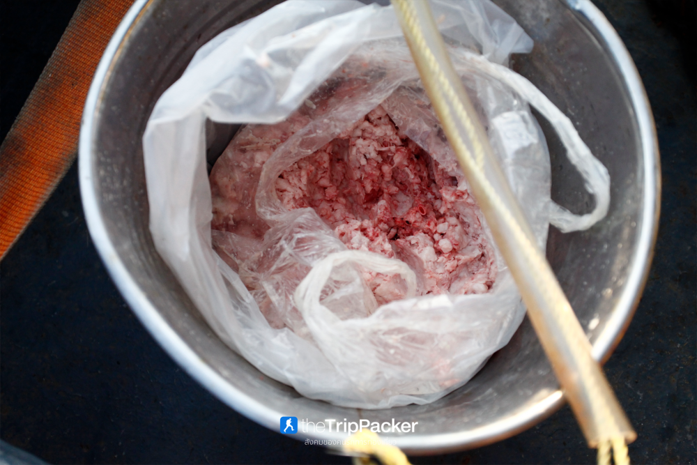 บ้านทะเลน้อย : ล่องแพ ส่องเหยี่ยว เที่ยวจนพระอาทิตย์ตก