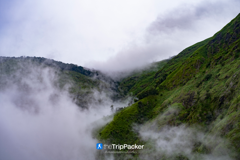 "เปรโต๊ะลอซู" หัวใจกลางผืนป่าอุ้มผาง : ราคาที่ต้องจ่ายด้วยสองเท้า