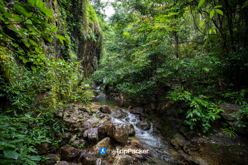 "เปรโต๊ะลอซู" หัวใจกลางผืนป่าอุ้มผาง : ราคาที่ต้องจ่ายด้วยสองเท้า