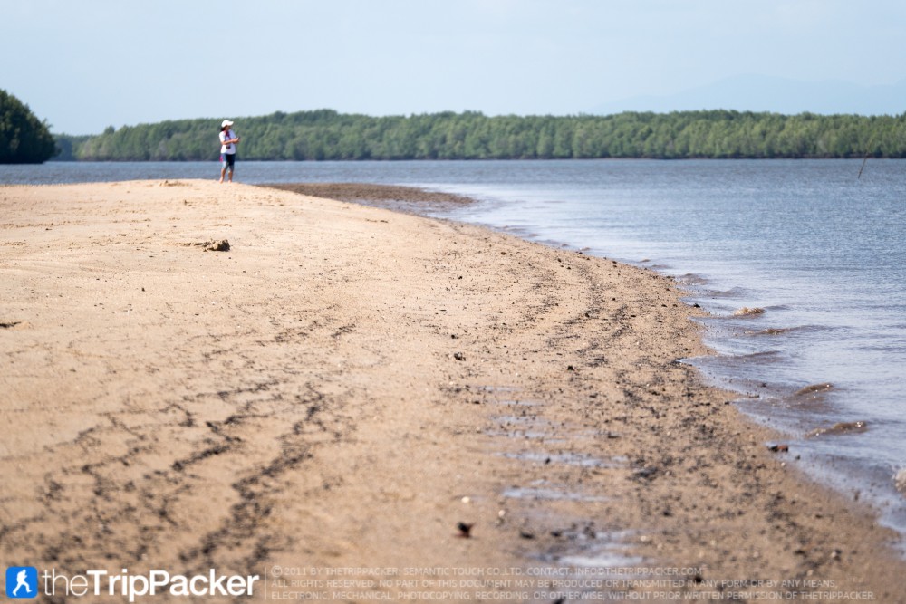 "สันหลังมังกรเหลือง" UNSEEN แห่งใหม่ของท้องทะเลตรัง