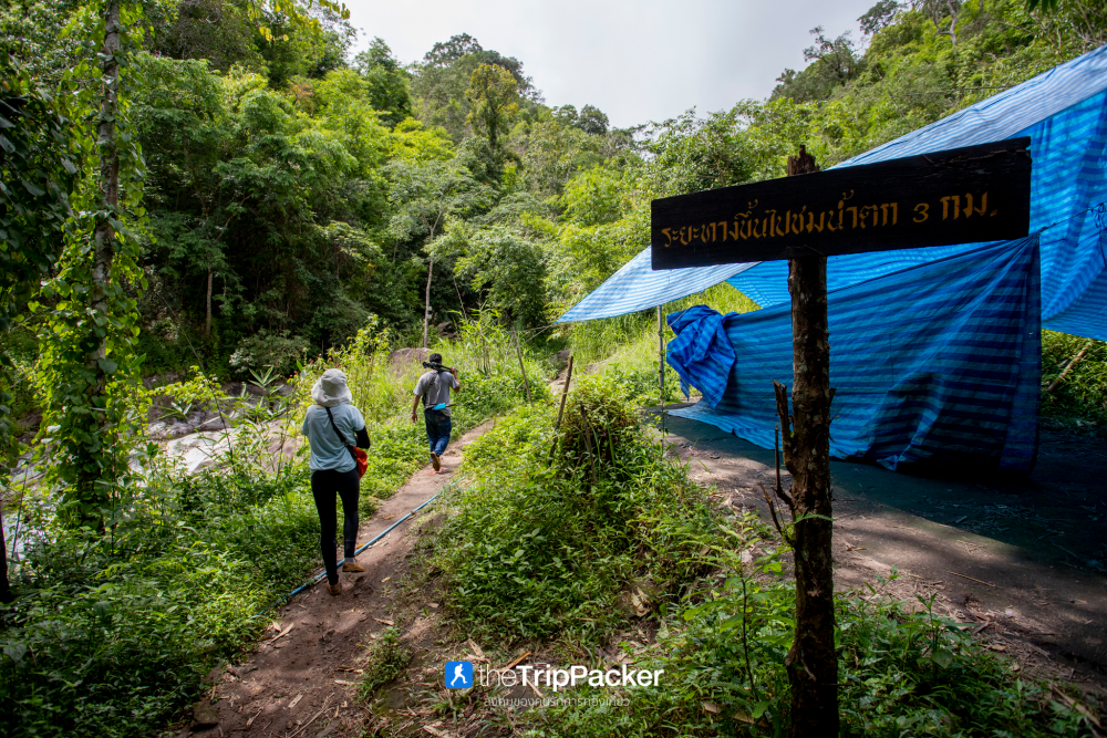 "เปรโต๊ะลอซู" หัวใจกลางผืนป่าอุ้มผาง : ราคาที่ต้องจ่ายด้วยสองเท้า