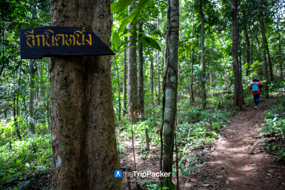 "เปรโต๊ะลอซู" หัวใจกลางผืนป่าอุ้มผาง : ราคาที่ต้องจ่ายด้วยสองเท้า