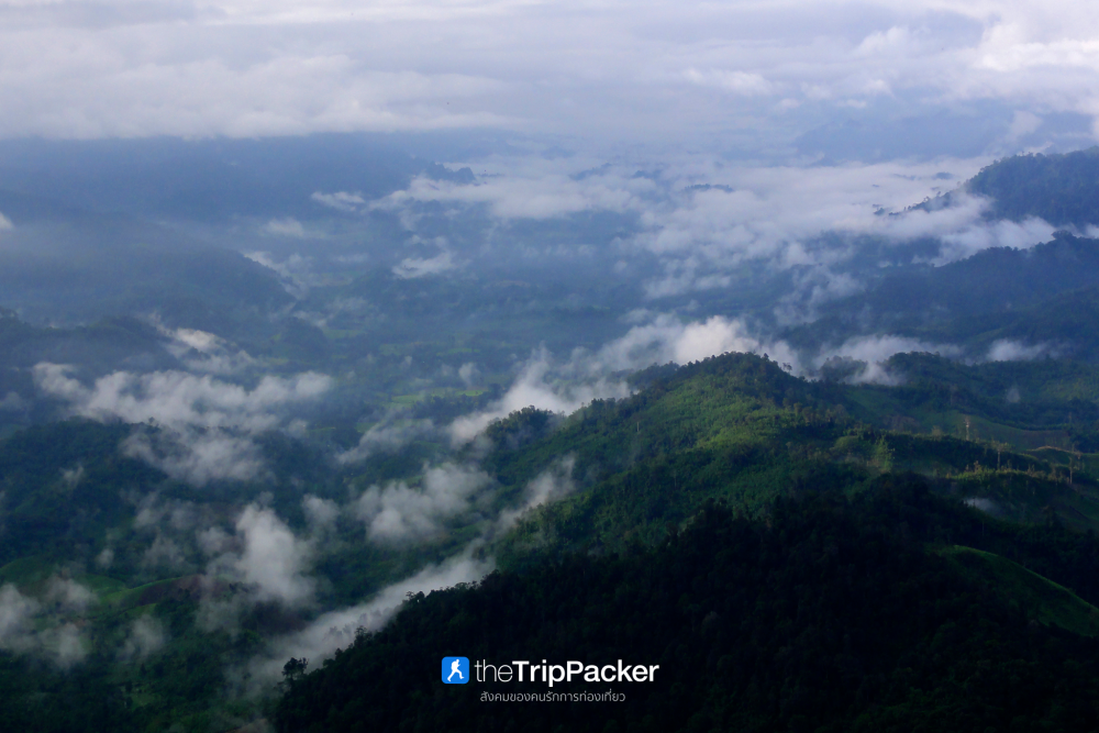 "เปรโต๊ะลอซู" หัวใจกลางผืนป่าอุ้มผาง : ราคาที่ต้องจ่ายด้วยสองเท้า