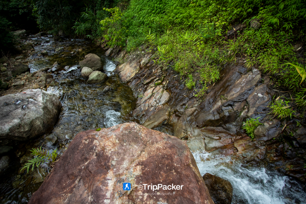 "เปรโต๊ะลอซู" หัวใจกลางผืนป่าอุ้มผาง : ราคาที่ต้องจ่ายด้วยสองเท้า