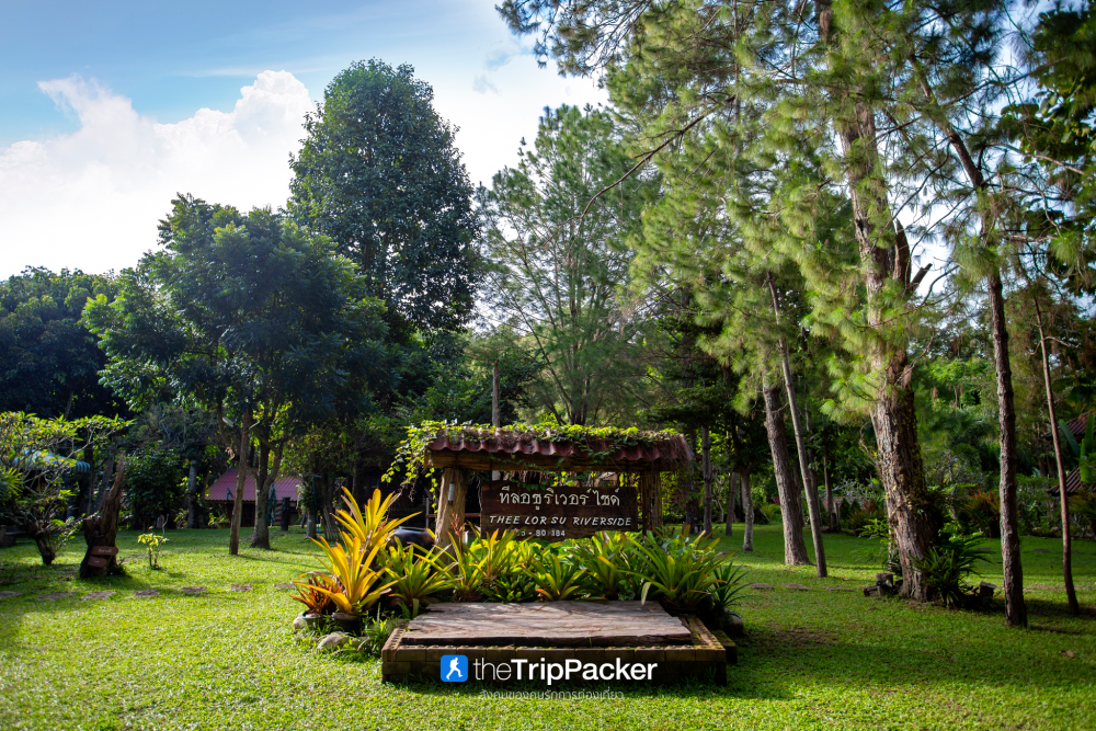 "เปรโต๊ะลอซู" หัวใจกลางผืนป่าอุ้มผาง : ราคาที่ต้องจ่ายด้วยสองเท้า