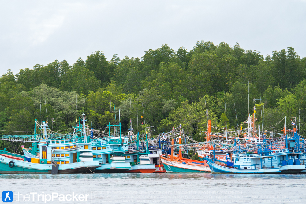 "ชุมชนเกาะกลาง" สัมผัสวิถีชาวเลเมืองกระบี่ กับ 3 สิ่งที่มาแล้ว...ต้องห้ามพลาด!