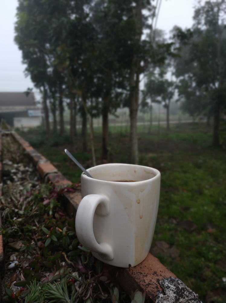 กาแฟยามเช้า @bedtime Story