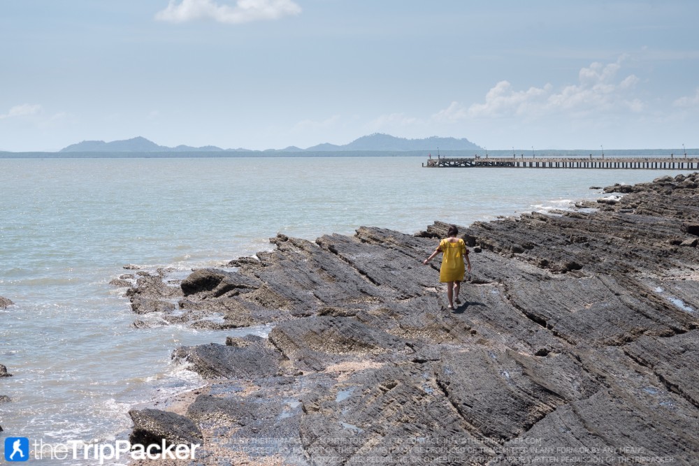 "สันหลังมังกรเหลือง" UNSEEN แห่งใหม่ของท้องทะเลตรัง